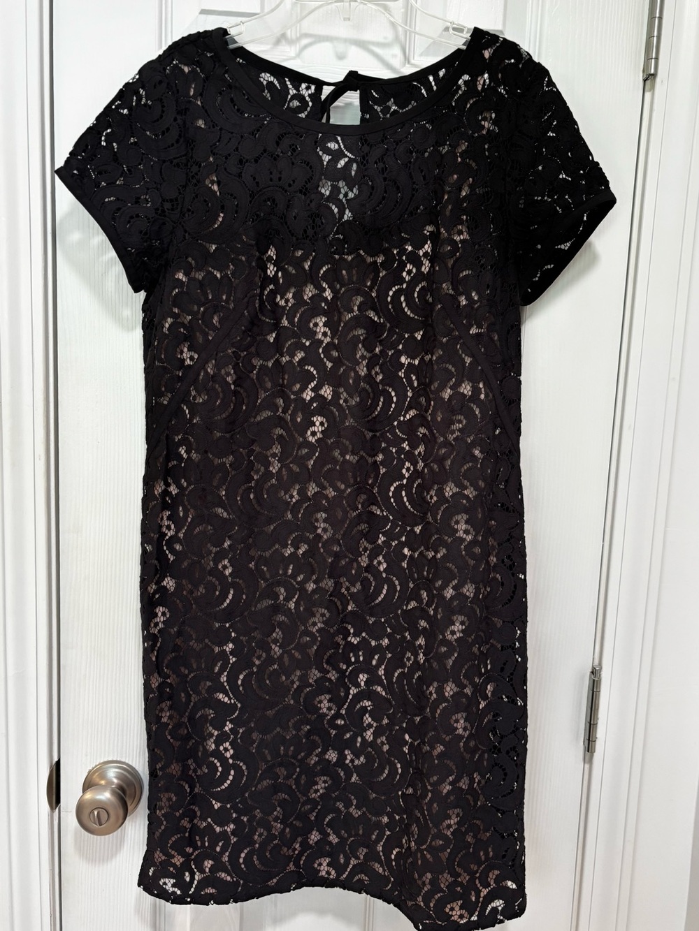 LOFT Black Lace Mini Dress with Short Sleeves